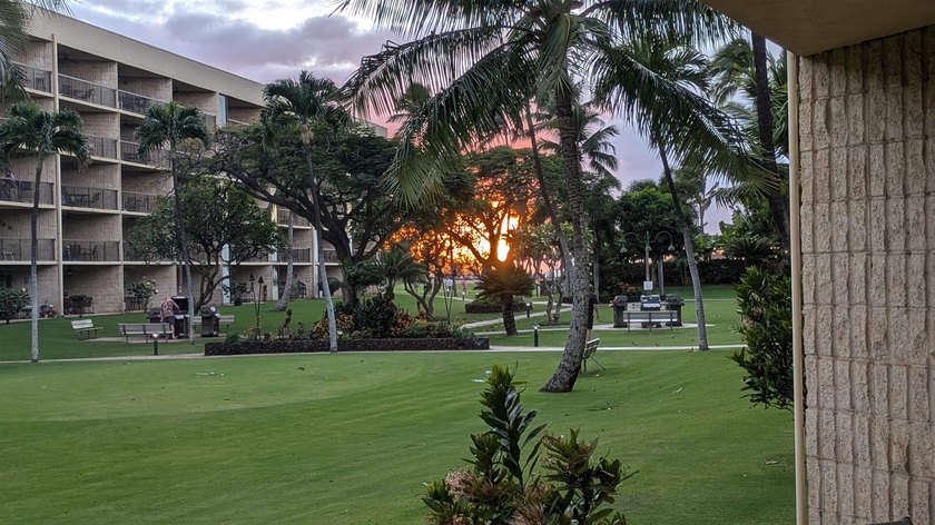 This beautifully updated 1 bedroom, 2 bathroom condo is ground - photo 50