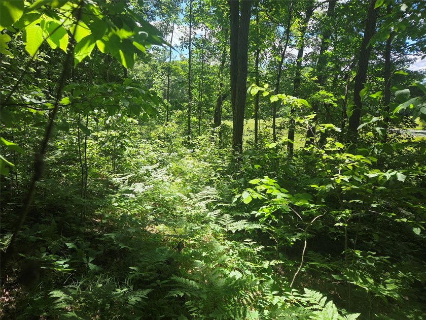 Discover the perfect blend of privacy, nature, and convenience - photo 3