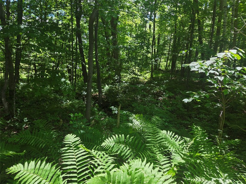 Discover the perfect blend of privacy, nature, and convenience - photo 6