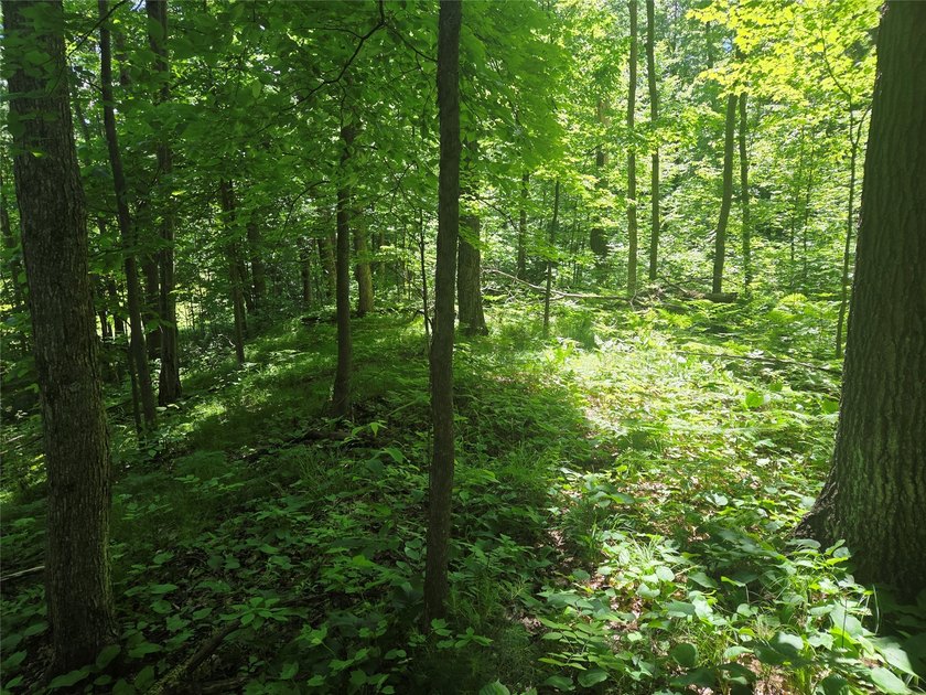 Discover the perfect blend of privacy, nature, and convenience - photo 7