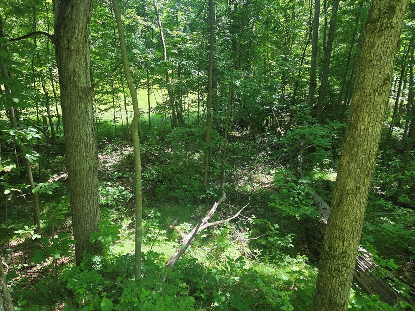 Discover the perfect blend of privacy, nature, and convenience - photo 8