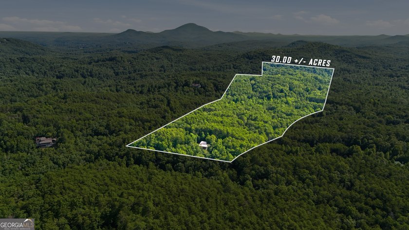 Discover this exceptional gated mountain estate offering - photo 2