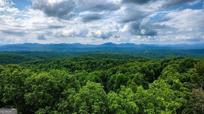 Tucked into a private wooded setting on top of the mountain in - photo 3