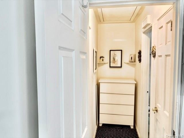 Brand New! Beech Hills! 1 Bedroom/1 Bath UPPER Unit located in - photo 11