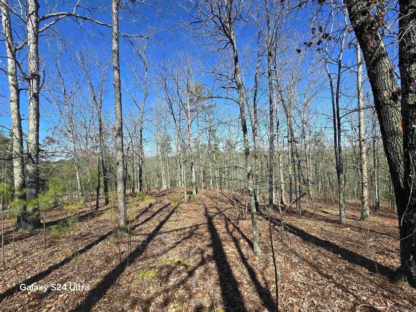 Welcome to market this 4.50-acre tract with mountain views and - photo 2