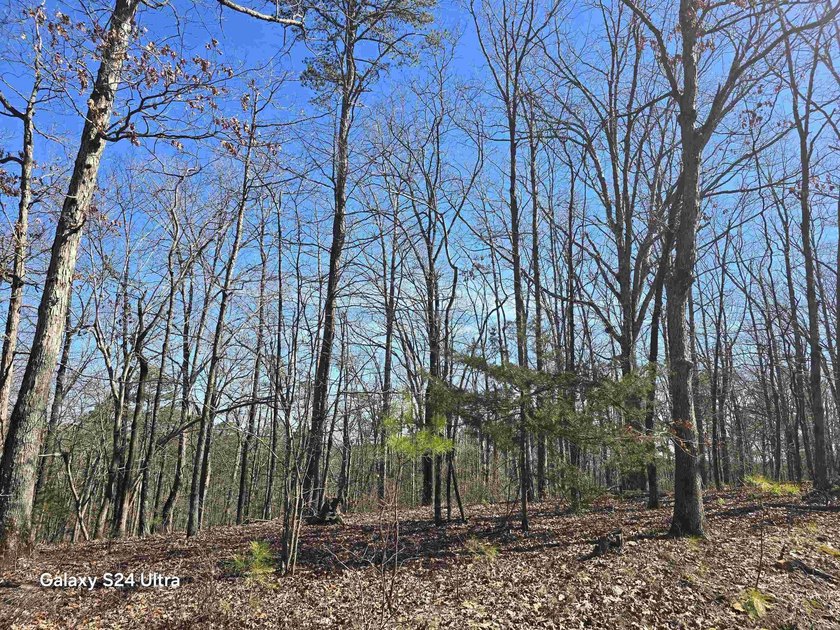 Welcome to market this 4.50-acre tract with mountain views and - photo 4