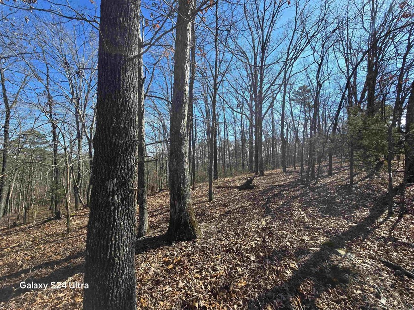 Welcome to market this 4.50-acre tract with mountain views and - photo 7
