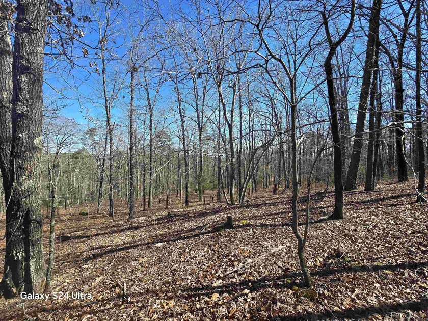 Welcome to market this 4.50-acre tract with mountain views and - photo 8