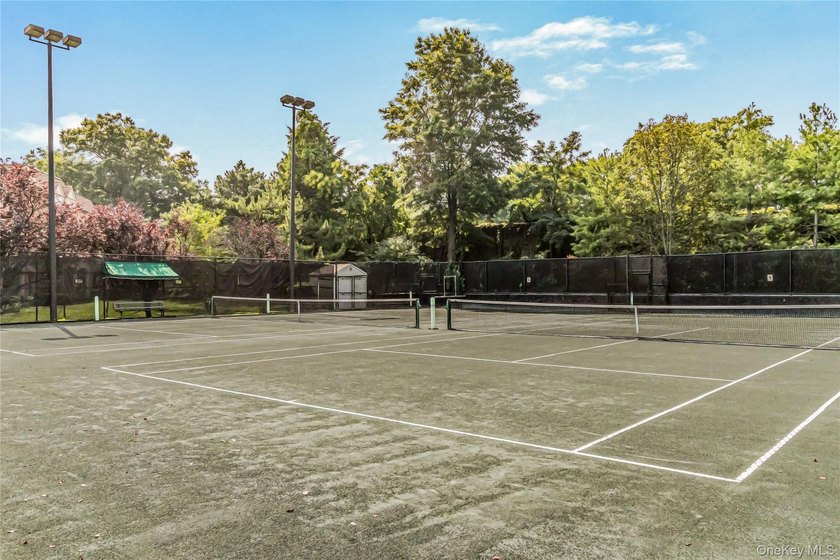 Welcome to The Baybridge, a private gated condominium community - photo 24