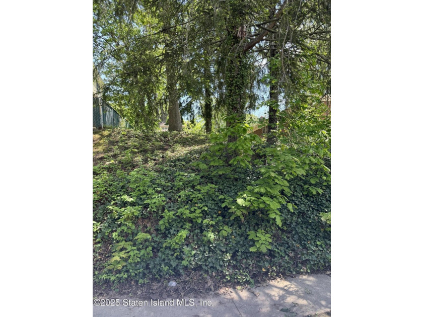 LAND FOR SALE 40 X 100 PRIME SUNNYSIDE LOCATION - photo 2