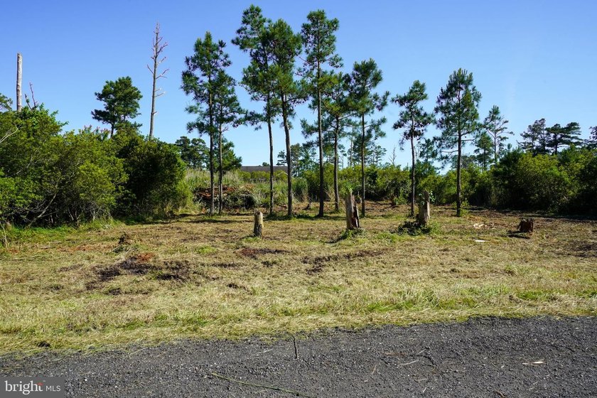 Build your dream coastal retreat in the desirable Piney Island - photo 2