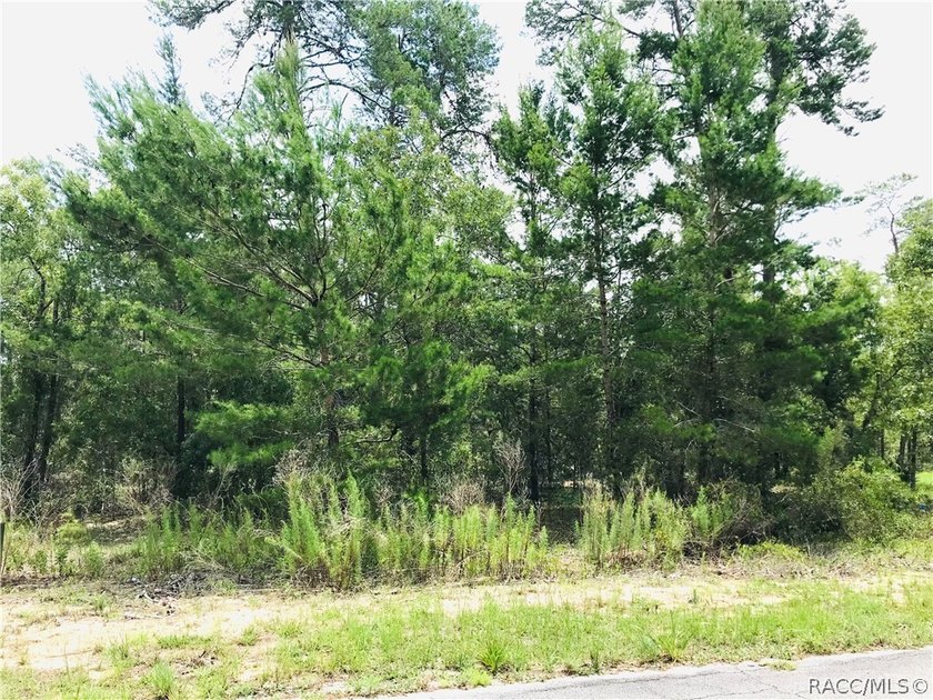 Premium home site in Oak Village at Sugarmill Woods located on a - photo 5