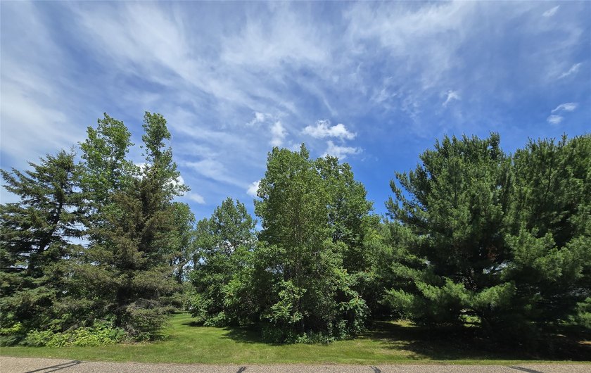 Rare real estate opportunity near LAKE WISSOTA! Build your dream - photo 8