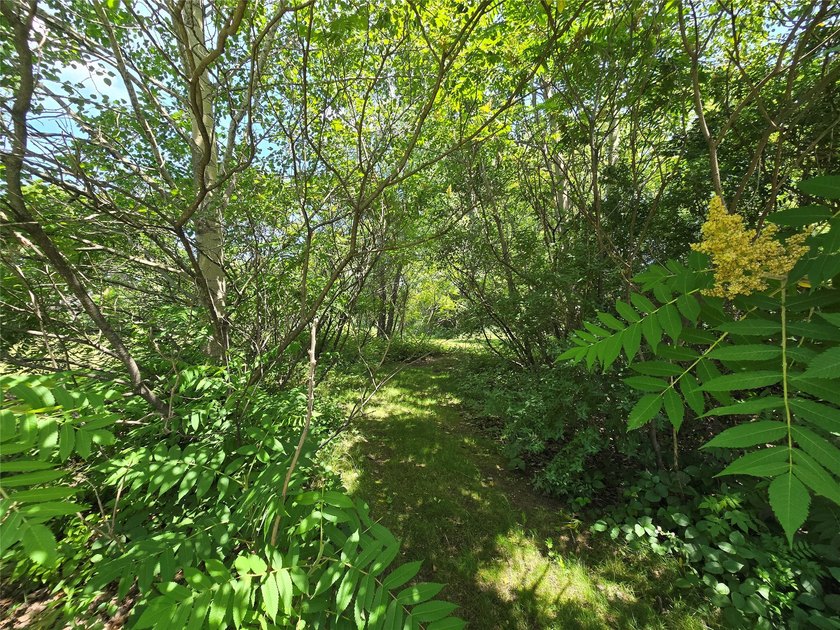 Rare real estate opportunity near LAKE WISSOTA! Build your dream - photo 10