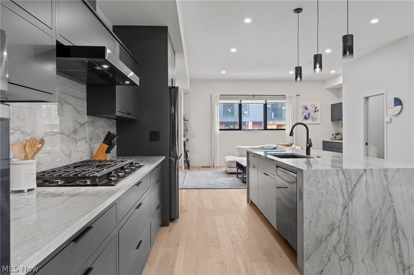 This is your opportunity to own one of Ohio City's most refined - photo 15