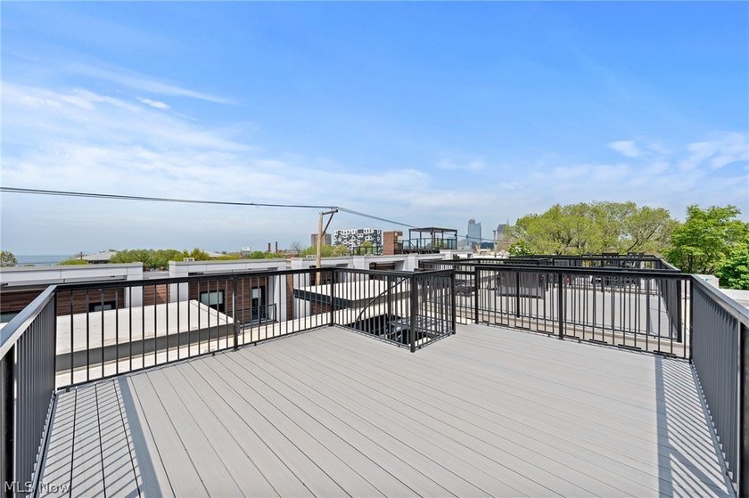 This is your opportunity to own one of Ohio City's most refined - photo 46