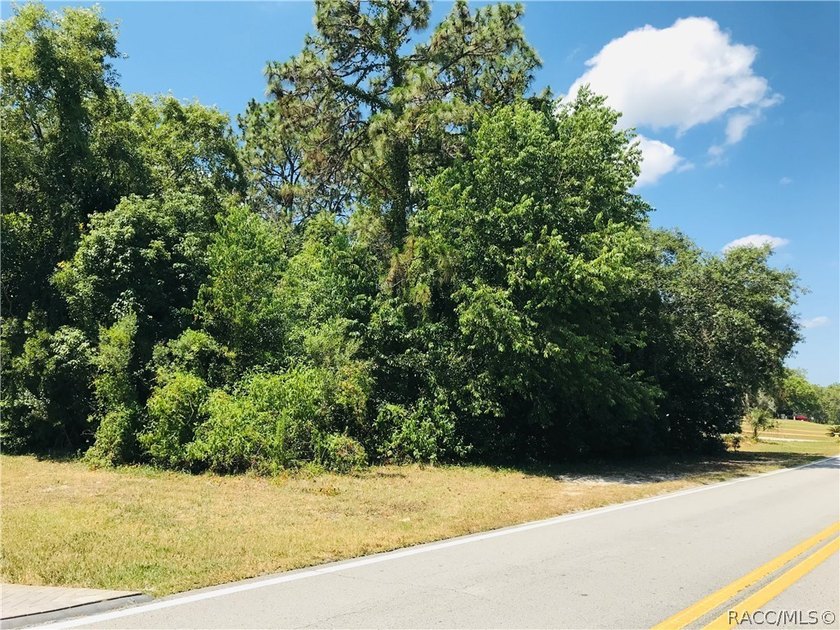 Premium estate home site in Cypress Village at Sugarmill Woods - photo 4