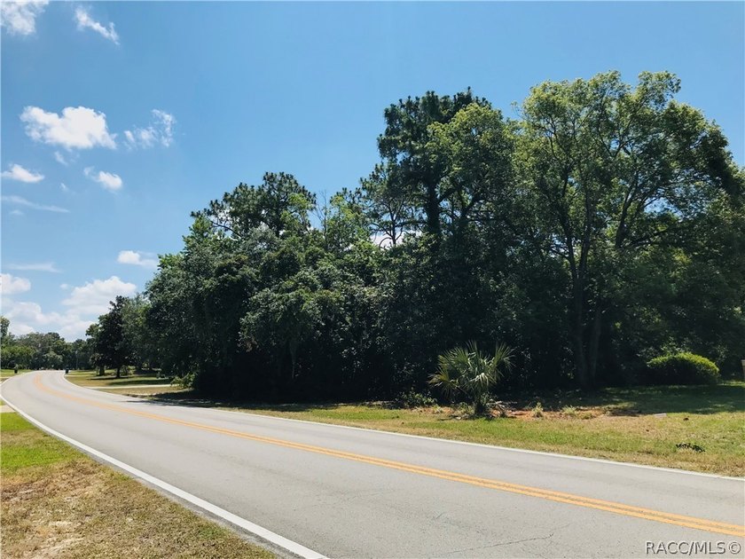 Premium estate home site in Cypress Village at Sugarmill Woods - photo 5