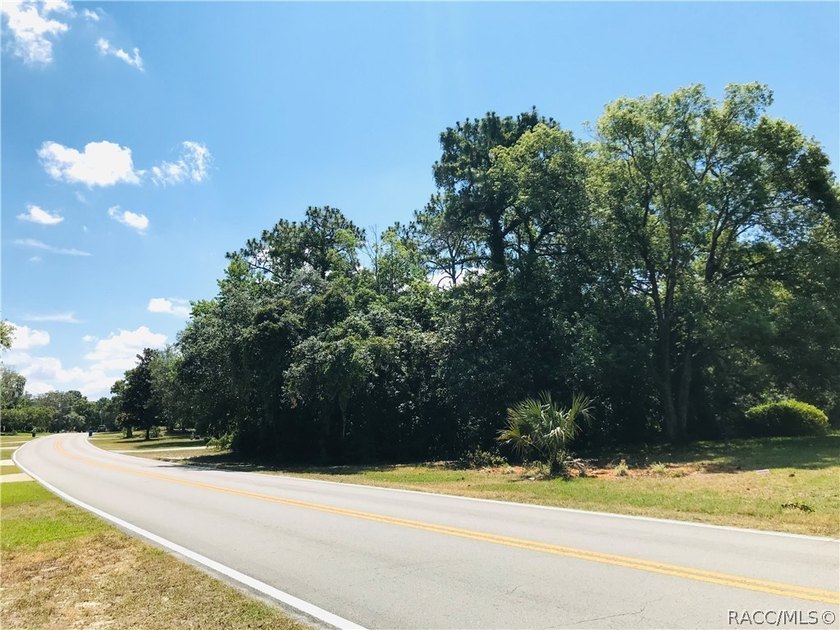 Premium estate home site in Cypress Village at Sugarmill Woods - photo 7