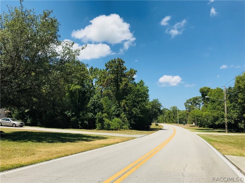 Premium estate home site in Cypress Village at Sugarmill Woods - photo 10