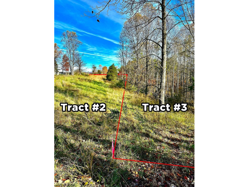 A 21.58 Acre property in Pulaski County with HUGE Potential! - photo 5