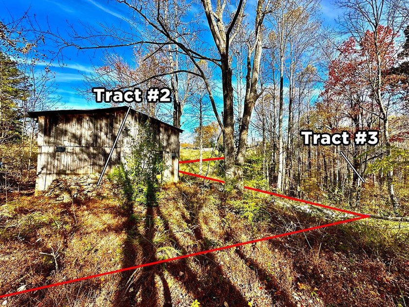 A 21.58 Acre property in Pulaski County with HUGE Potential! - photo 6