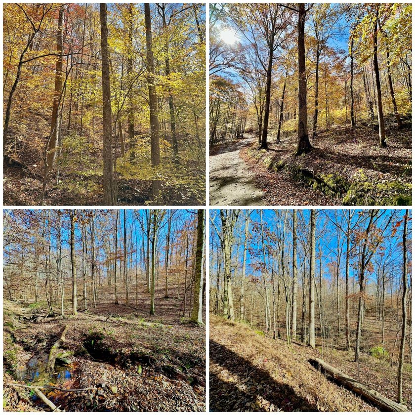 A 21.58 Acre property in Pulaski County with HUGE Potential! - photo 10