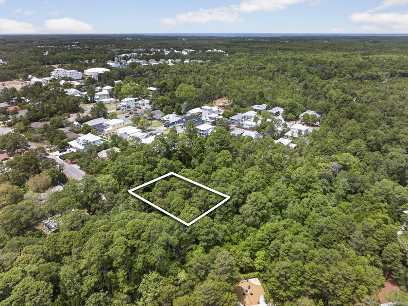 Great location! This oversized lot along 30A is conveniently - photo 3