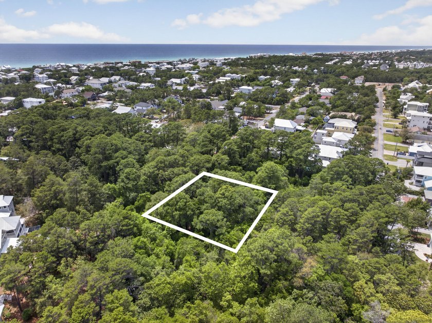 Great location! This oversized lot along 30A is conveniently - photo 4