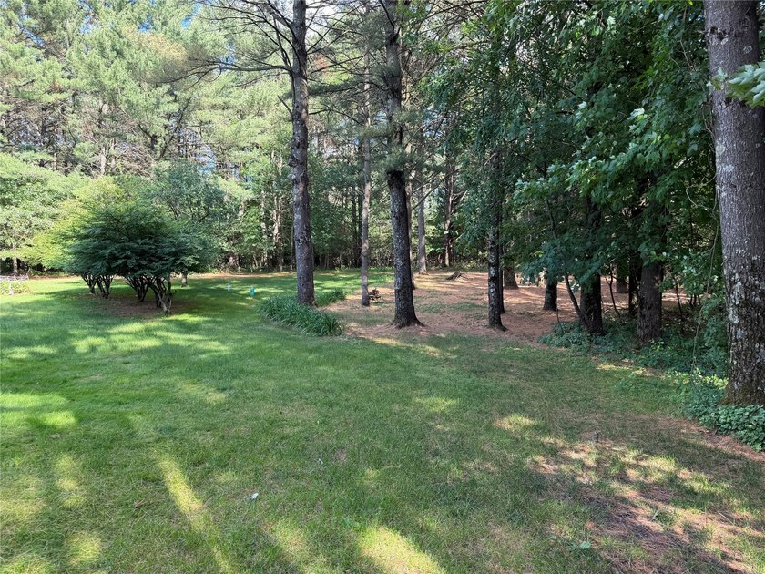 Custom-built open-concept home in the desirable Tainter Lake - photo 4