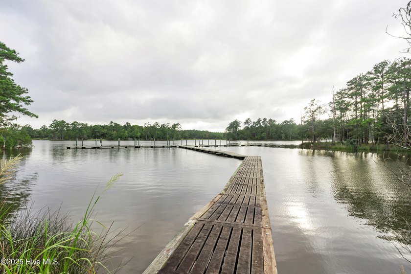 Enjoy space, water access, and community amenities in The - photo 12