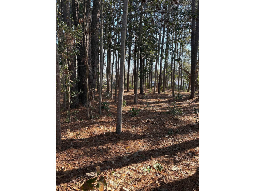 This listing (Lot 6) is for one buildable lot in the heart of - photo 6