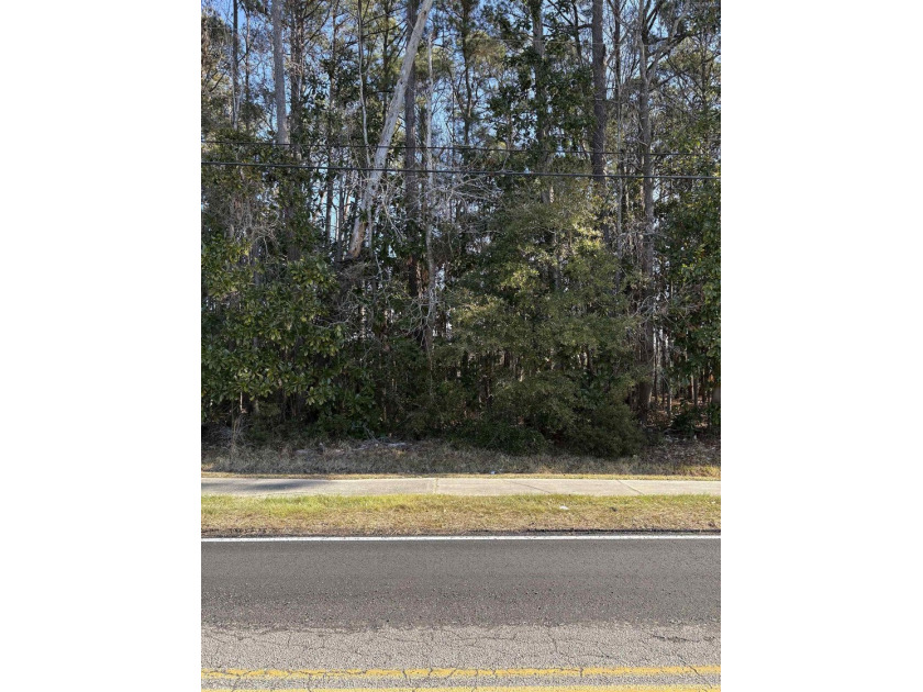 This listing (Lot 6) is for one buildable lot in the heart of - photo 7