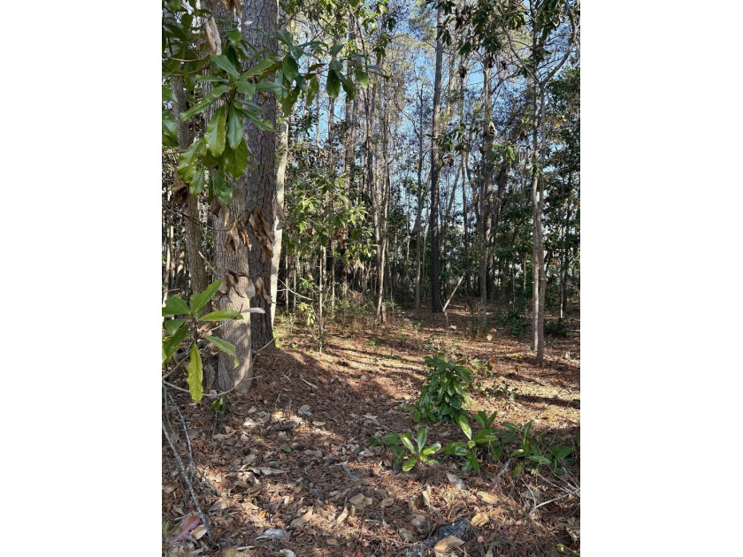 This listing (Lot 6) is for one buildable lot in the heart of - photo 8