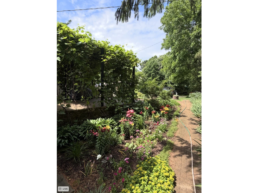Welcome to your own slice of paradise! This charming 3-bedroom - photo 3