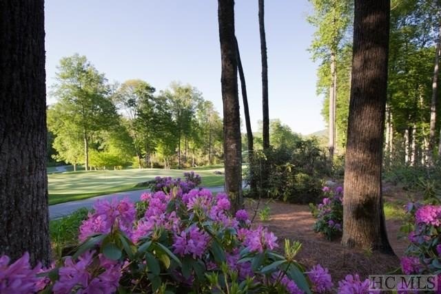 This 1.20+/- acre lot offers views of Goatsknob, and Shortoff - photo 6