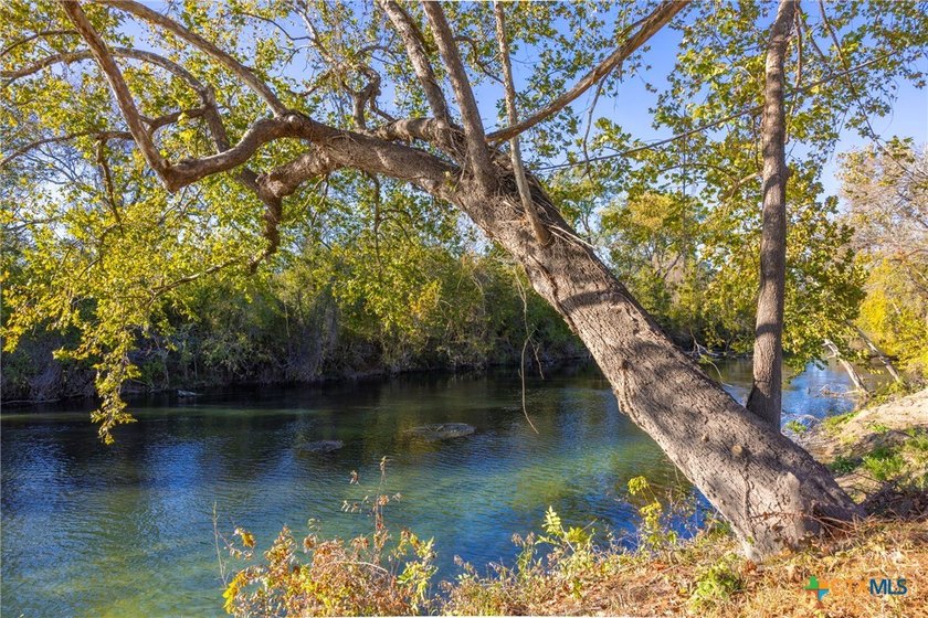 NEW Land Tracts featuring Riverfront and Rolling Countryside in - photo 8