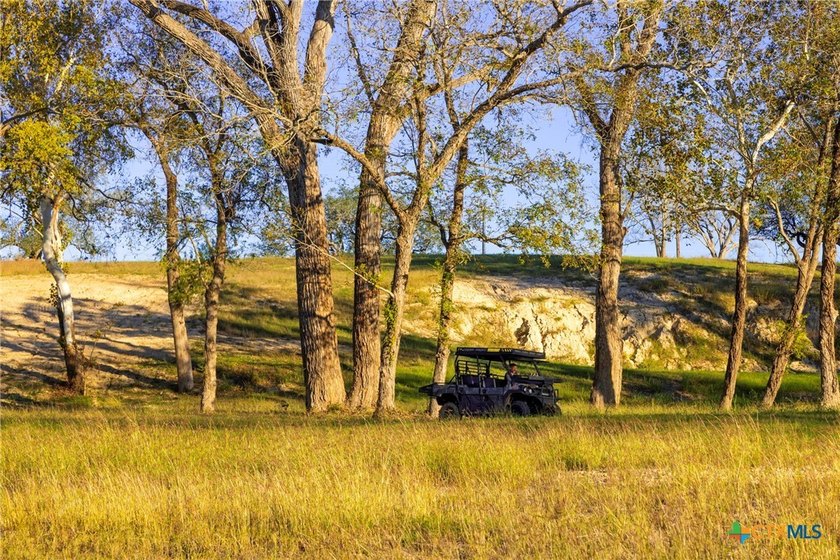 NEW Land Tracts featuring Riverfront and Rolling Countryside in - photo 9
