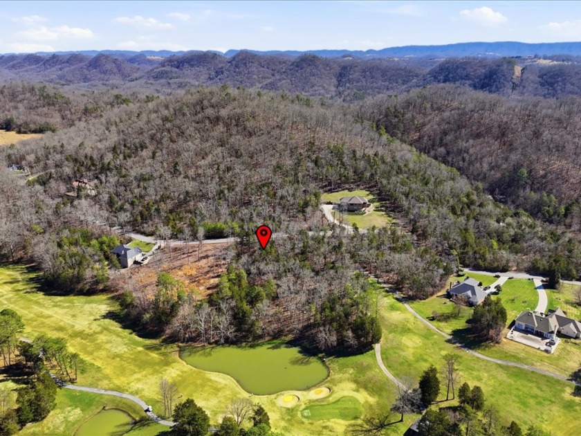 Wooded Golf Course Lot w/ Norris Lake Access - photo 16