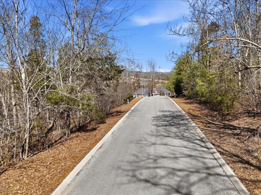 Wooded Golf Course Lot w/ Norris Lake Access - photo 3