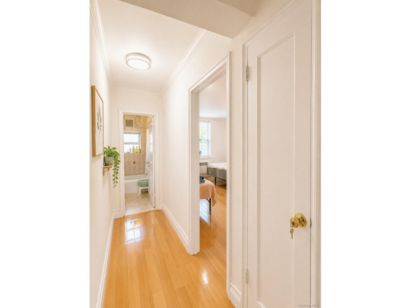 Sun-Filled 1BR Co-op in Prime Flushing! Bright East-Facing Unit - photo 6