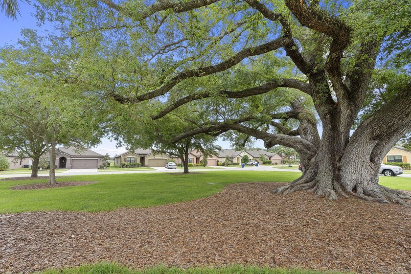 Welcome to this stunning spacious Cali model home located in the - photo 35