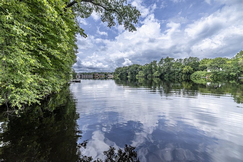 Completely Updated Riverfront Home on 1.2 Acres! Don't let the - photo 6