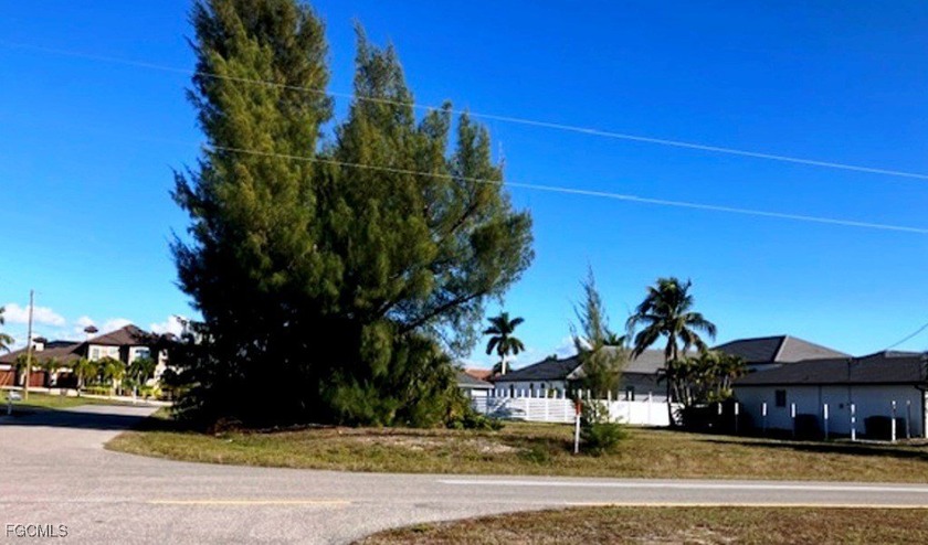 LOCATION! Corner lot near Sirenia Vista Park and across from the - photo 3