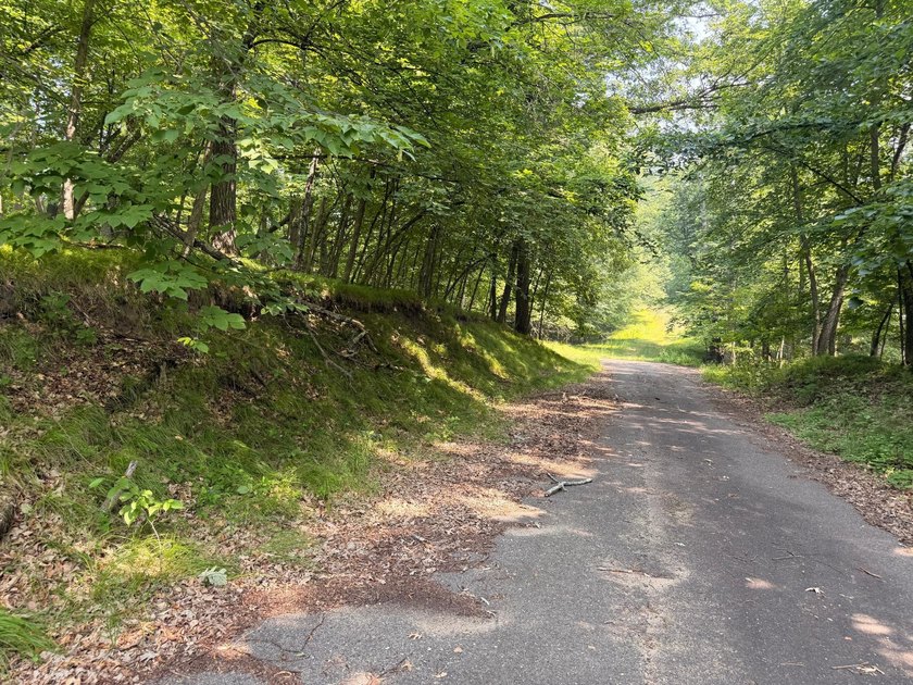 Privacy and lake views await you on this beautiful 1+ acre - photo 4