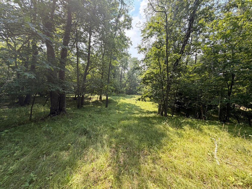 Privacy and lake views await you on this beautiful 1+ acre - photo 8
