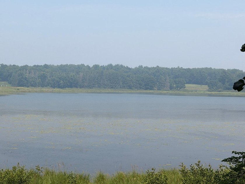 Privacy and lake views await you on this beautiful 1+ acre - photo 10