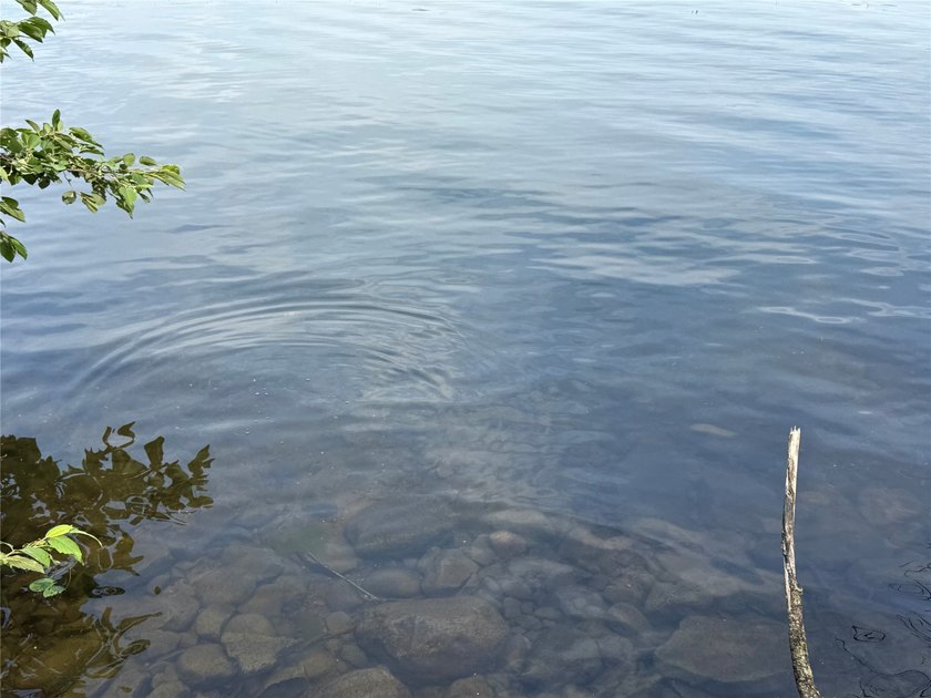 Rare opportunity on Long Lake! Discover this exceptional 0 - photo 7
