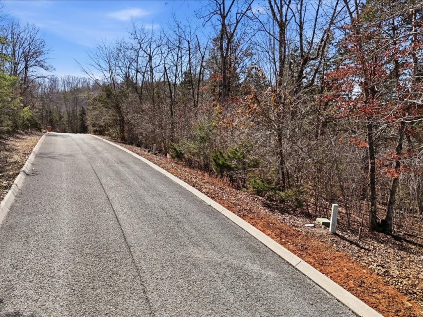 Wooded Golf Course Lot w/ Norris Lake Access - photo 4