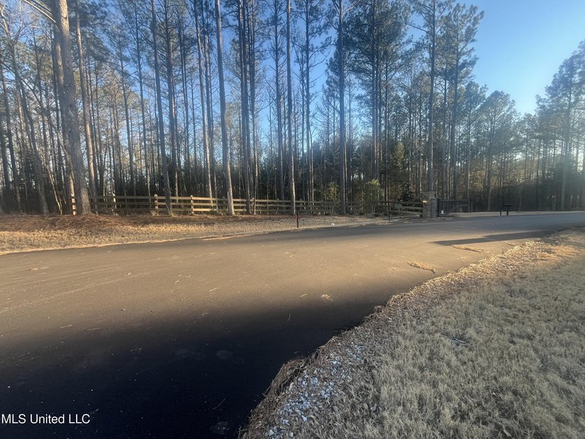 Welcome to Springwood Trail, come experience this new lakefront - photo 7